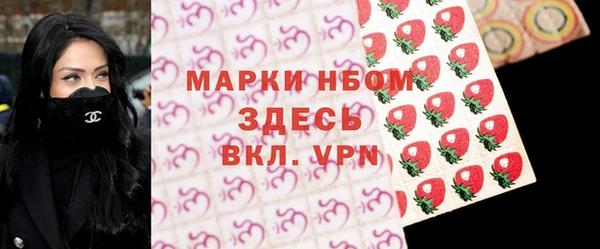 стаф Новодвинск