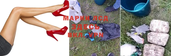 стаф Новодвинск