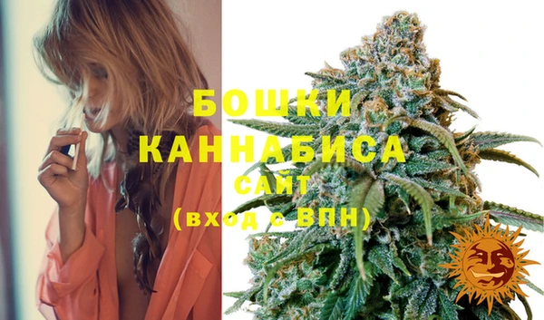 стаф Новодвинск