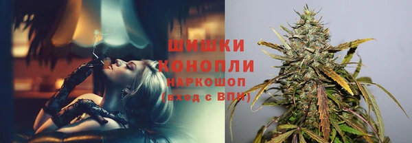 стаф Новодвинск