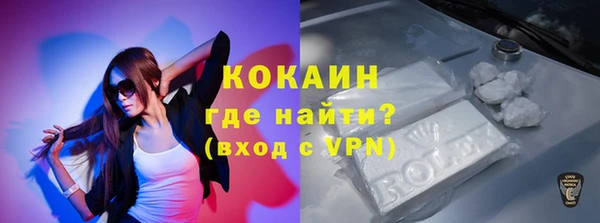стаф Новодвинск