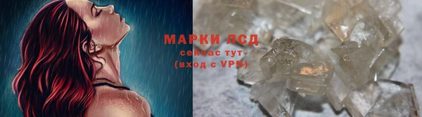 стаф Новодвинск