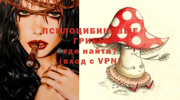 стаф Новодвинск