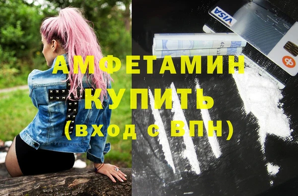 стаф Новодвинск