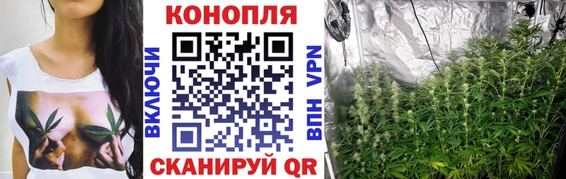 Конопля индика Хабаровск